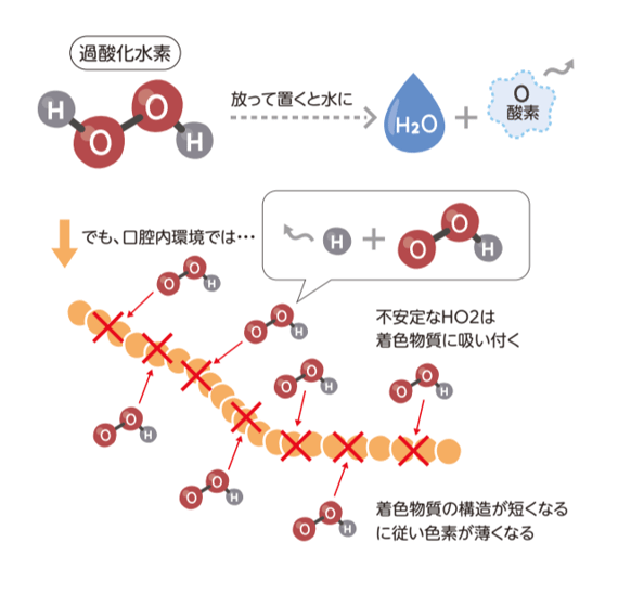 過酸化水素①-2