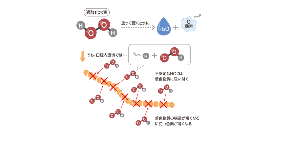 過酸化水素の世界①　あの馴染みの物質が幅広く使われているわけ ｜学習ブログ｜ASP Japan合同会社 サムネイル画像